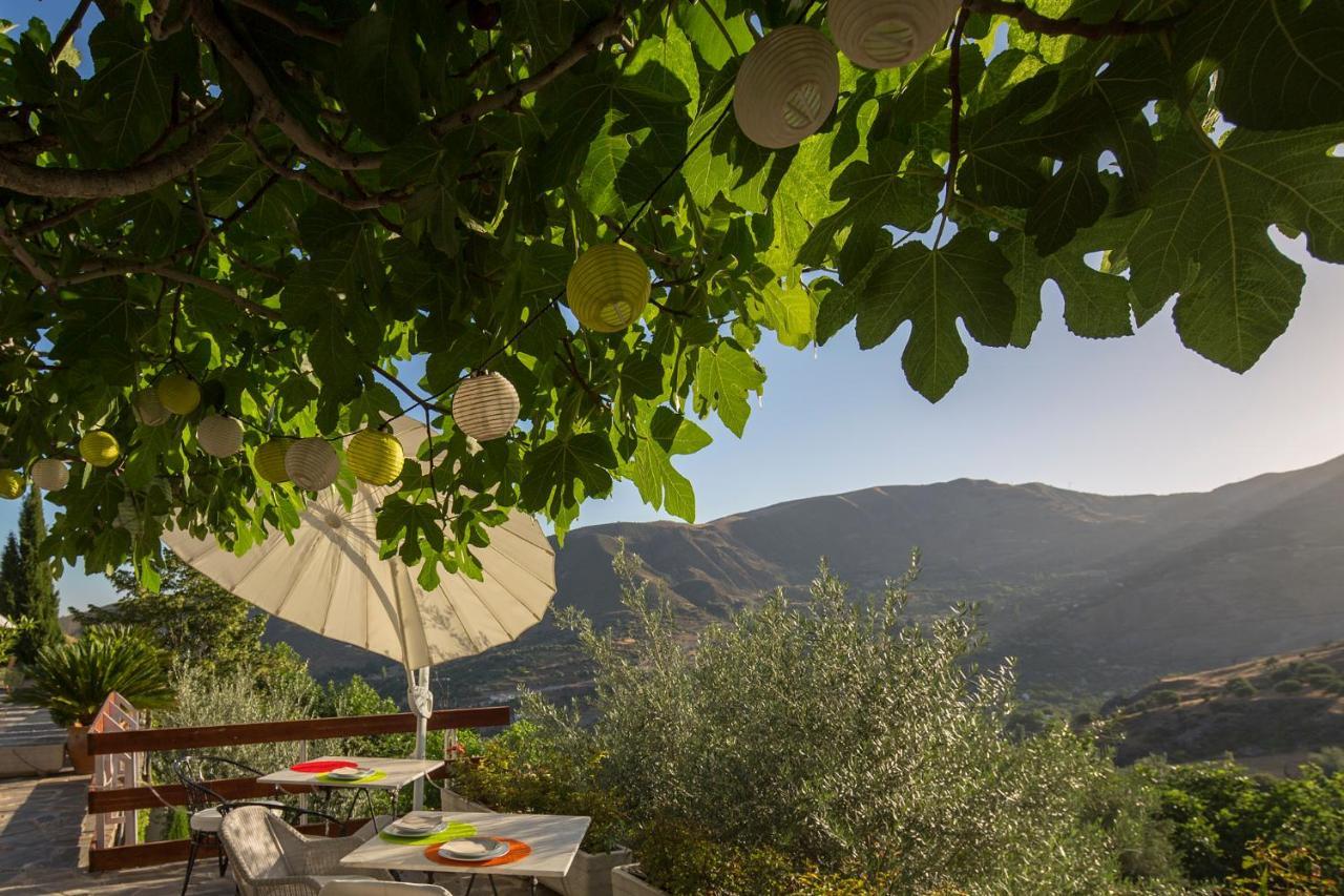 La Almunia Del Valle โมนาชิล ภายนอก รูปภาพ