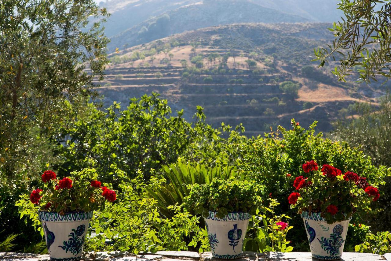 La Almunia Del Valle โมนาชิล ภายนอก รูปภาพ