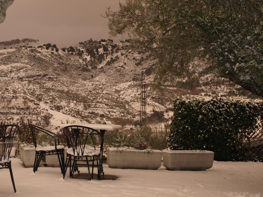 La Almunia Del Valle โมนาชิล ภายนอก รูปภาพ