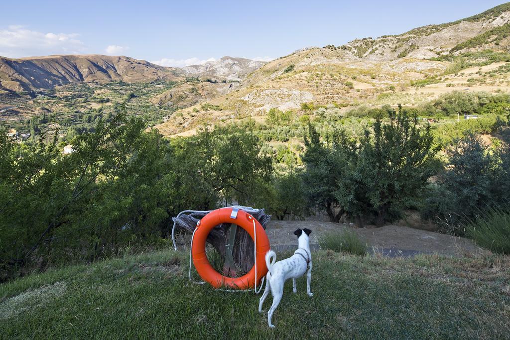 La Almunia Del Valle โมนาชิล ภายนอก รูปภาพ
